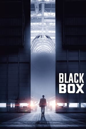Boxed 2021 Hindi Movie | Hindi Dubbed Movie HDRip x264 [890MB]