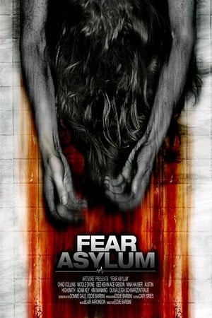 Room 33 (2009) Hindi Dual Audio | Hindi Dubbed Movie DVDRip [770MB]